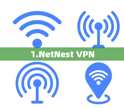 1.NetNest VPN