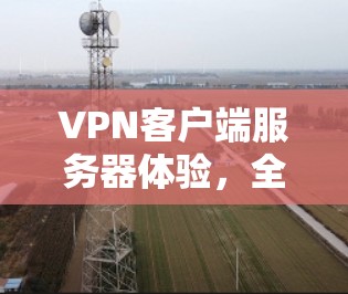 VPN客户端服务器体验,全面解析 VPN客户端服务器体验,全面解析