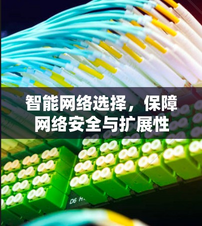 智能网络选择,保障网络安全与扩展性 智能网络选择,保障网络安全与扩展性