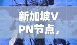 新加坡VPN节点，新加坡的网络基础设施与经济影响