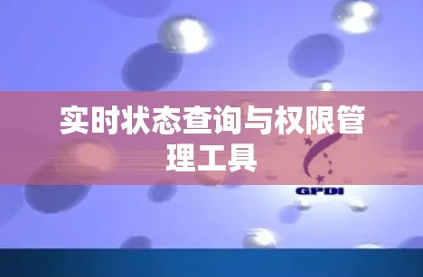 实时状态查询与权限管理工具 实时状态查询与权限管理工具