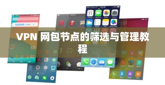 VPN 网包节点的筛选与管理教程