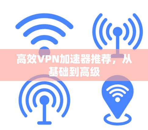 高效VPN加速器推荐，从基础到高级
