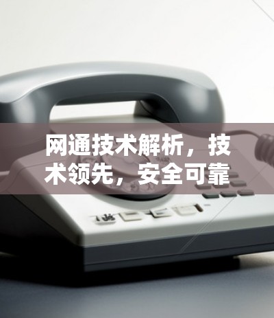 网通技术解析,技术领先,安全可靠 网通技术解析,技术领先,安全可靠