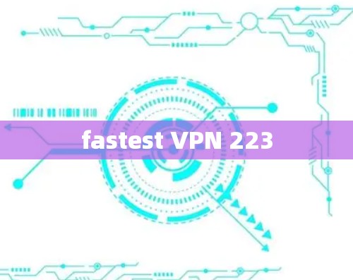 fastest VPN 223