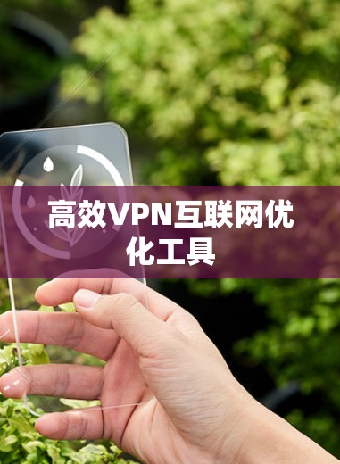 高效VPN互联网优化工具 高效VPN互联网优化工具