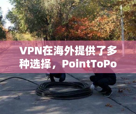 VPN在海外提供了多种选择,PointToPoint和Androcube是两个主要的选项,各有优缺点。以下是它们的详细比较和使用指南 VPN在海外提供了多种选择,PointToPoint和Androcube是两个主要的选项,各有优缺点。以下是它们的详细比较和使用指南