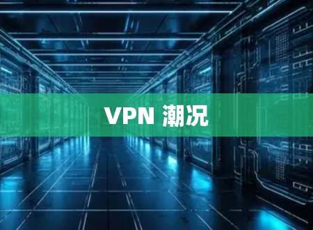 VPN 潮况