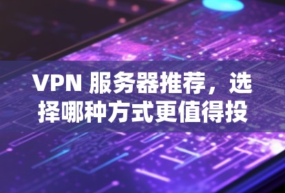 VPN 服务器推荐,选择哪种方式更值得投资? VPN 服务器推荐,选择哪种方式更值得投资?