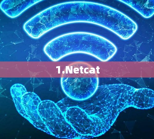 1.Netcat 1.Netcat