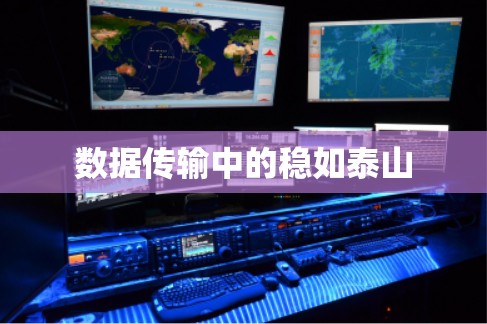数据传输中的稳如泰山