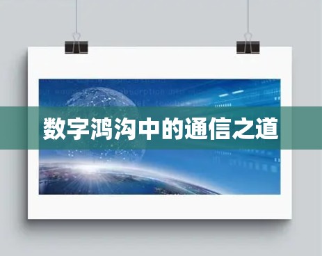 数字鸿沟中的通信之道 数字鸿沟中的通信之道