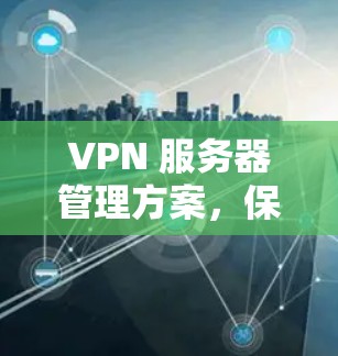 VPN 服务器管理方案，保障网络安全的创新实践