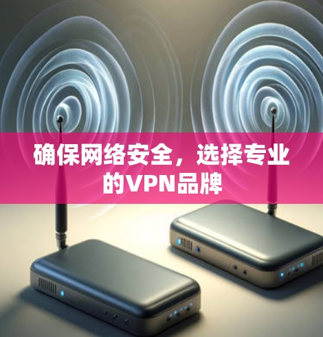 确保网络安全,选择专业的VPN品牌 确保网络安全,选择专业的VPN品牌