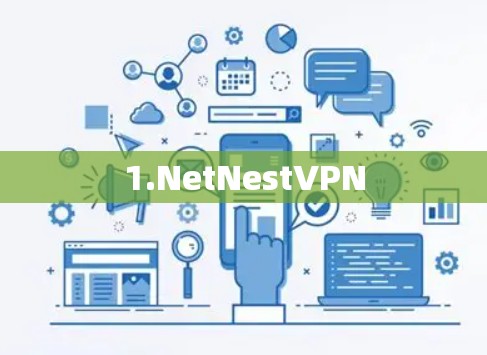 1.NetNestVPN 1.NetNestVPN