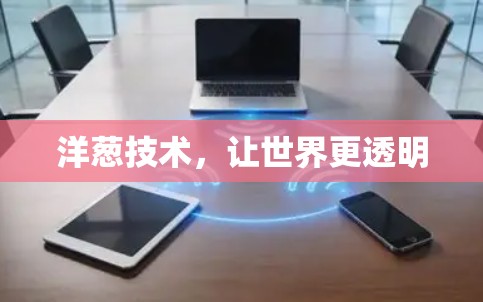 洋葱技术，让世界更透明