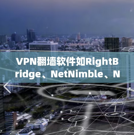 VPN翻墙软件如RightBridge、NetNimble、NetMask等,主要分为几个主要版本,每个版本在功能和适用场景上有区别。以下是详细的分析和总结 VPN翻墙软件如RightBridge、NetNimble、NetMask等,主要分为几个主要版本,每个版本在功能和适用场景上有区别。以下是详细的分析和总结