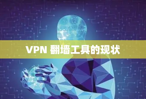 VPN 翻墙工具的现状 VPN 翻墙工具的现状