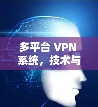 多平台 VPN 系统，技术与安全的双刃剑