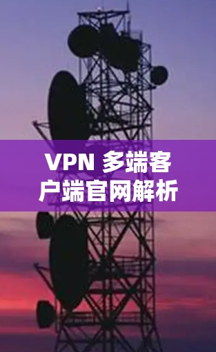 VPN 多端客户端官网解析及使用攻略
