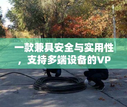 一款兼具安全与实用性,支持多端设备的VPN多端客户端APP 一款兼具安全与实用性,支持多端设备的VPN多端客户端APP