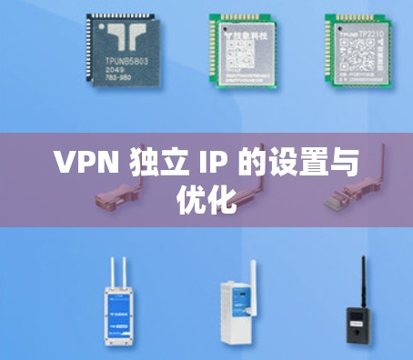 VPN 独立 IP 的设置与优化 VPN 独立 IP 的设置与优化