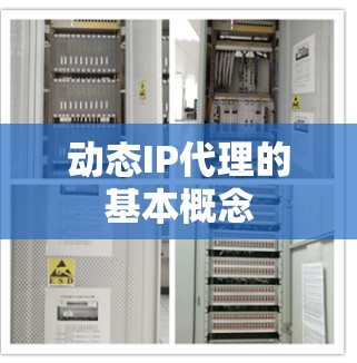动态IP代理的基本概念 动态IP代理的基本概念