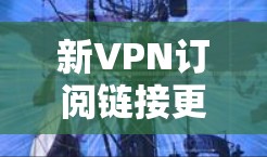 新VPN订阅链接更新,让您的网络更安全更便捷! 新VPN订阅链接更新,让您的网络更安全更便捷!