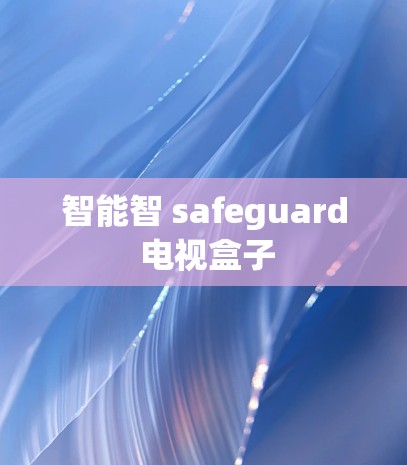 智能智 safeguard 电视盒子
