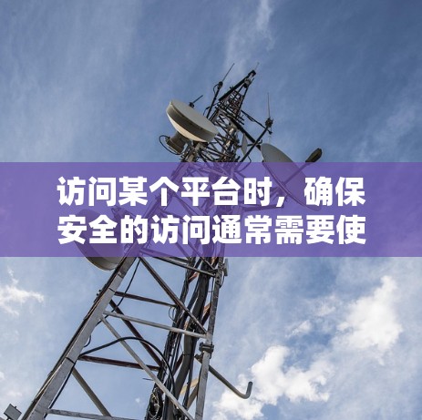 访问某个平台时，确保安全的访问通常需要使用VPN。以下是详细的步骤指南