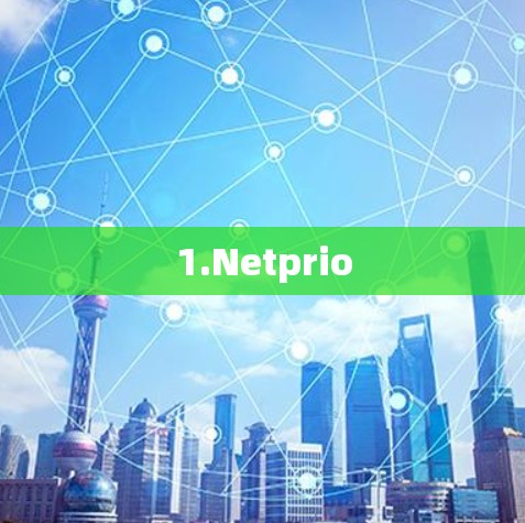1.Netprio 1.Netprio