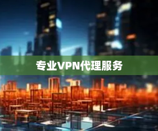 专业VPN代理服务 专业VPN代理服务