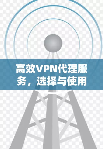高效VPN代理服务,选择与使用的最佳选择 高效VPN代理服务,选择与使用的最佳选择