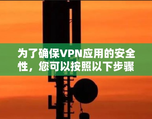 为了确保VPN应用的安全性，您可以按照以下步骤进行