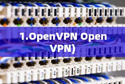 1.OpenVPN OpenVPN)