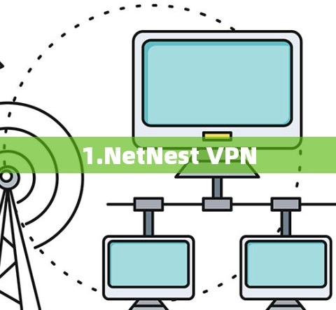 1.NetNest VPN 1.NetNest VPN