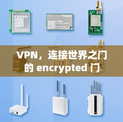VPN，连接世界之门的 encrypted 门
