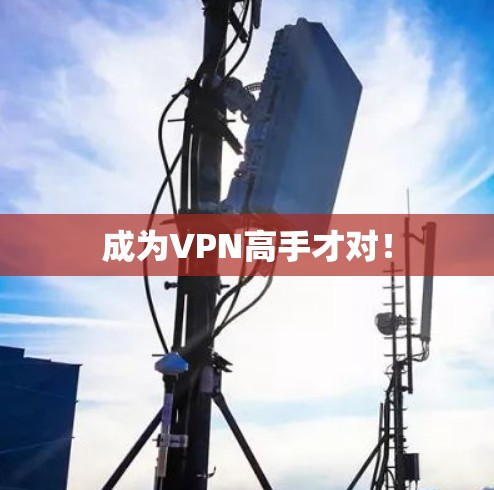 成为VPN高手才对！