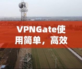 VPNGate使用简单,高效安全