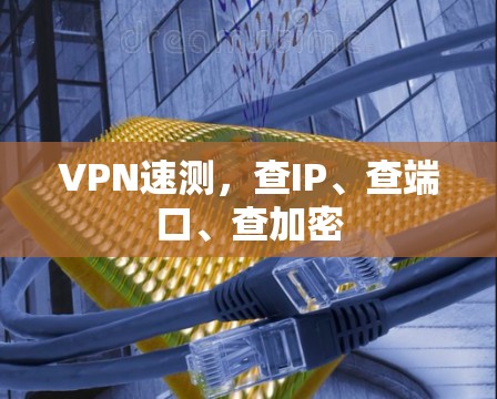 VPN速测，查IP、查端口、查加密