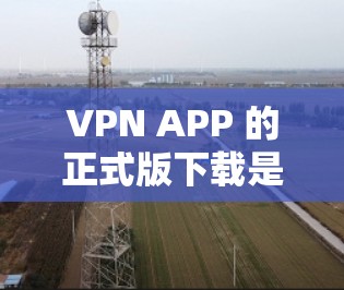 VPN APP 的正式版下载是基于安全性和功能性的，确保数据传输和隐私保护。以下是几种常用的正式版VPN APP 推荐