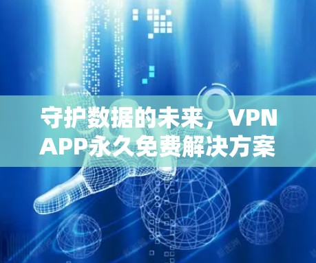 守护数据的未来，VPNAPP永久免费解决方案