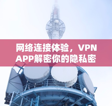 网络连接体验，VPNAPP解密你的隐私密码